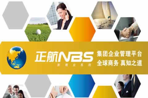 集團企業應用-NBS